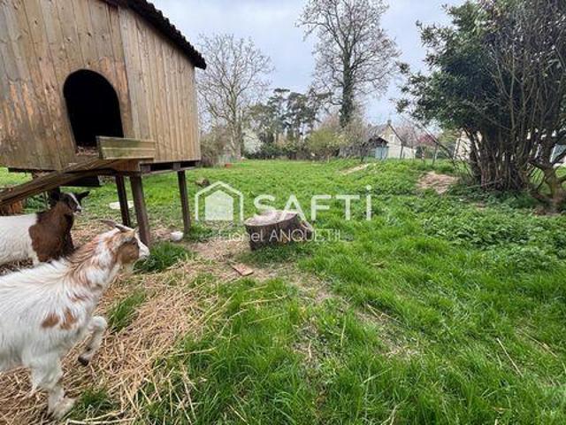 Terre Ingouville Haute Normandie 76460 DS89545979