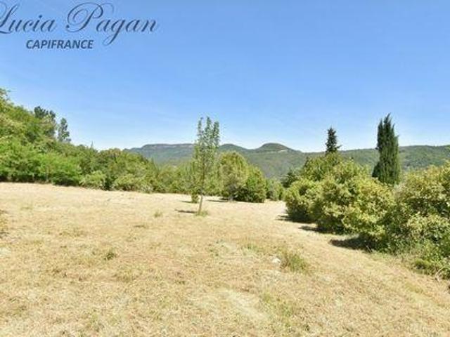 Terre LODEVE Languedoc Roussillon 34700 DS91151875