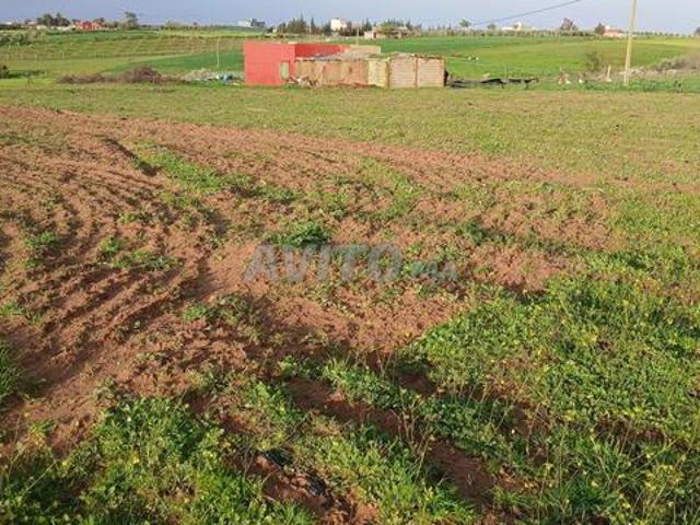 Terre pour ferme