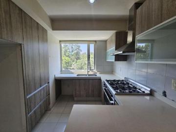 TERRE SANTA FE VENTA
