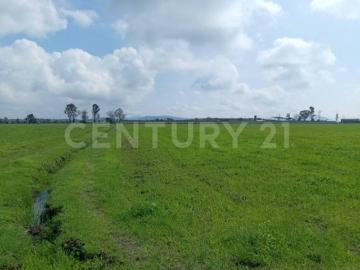 Terreno en Venta en Polotitlan, Estado de Mexico