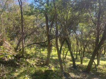TERRENTO CAMPESTRE EN VENTA EN ALLENDE N.L