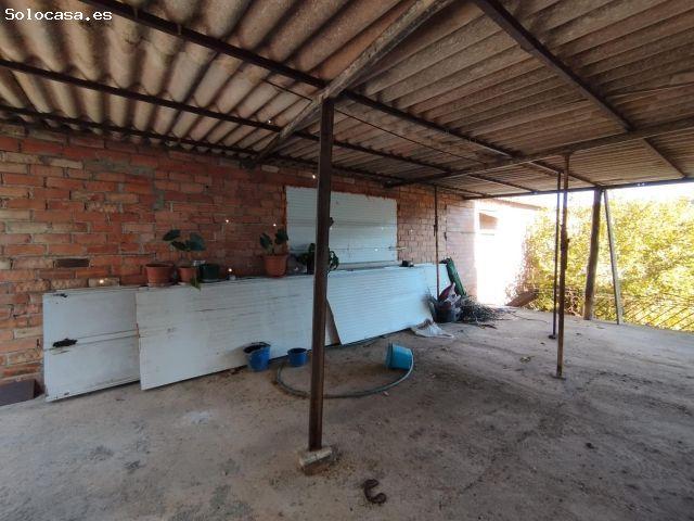 TERRENY PLA DE 600M2 AMB NAU DE 275M2 I CASETA AUXILIAR