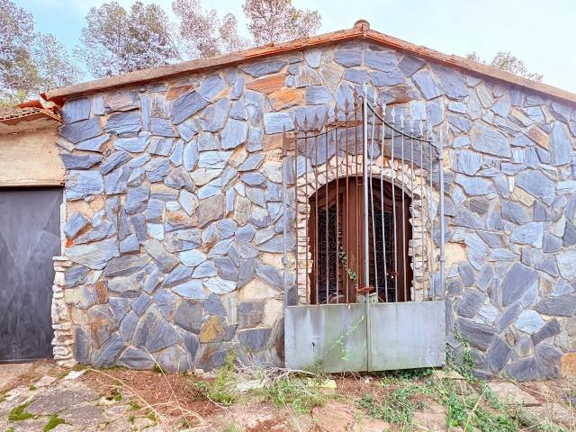 TERRENY RÚSTIC, AL BOSC DE GUANTA