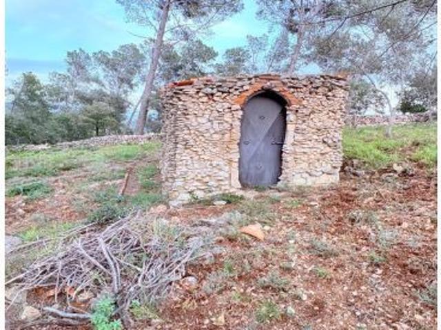 TERRENY RÚSTIC, AL BOSC DE GUANTA