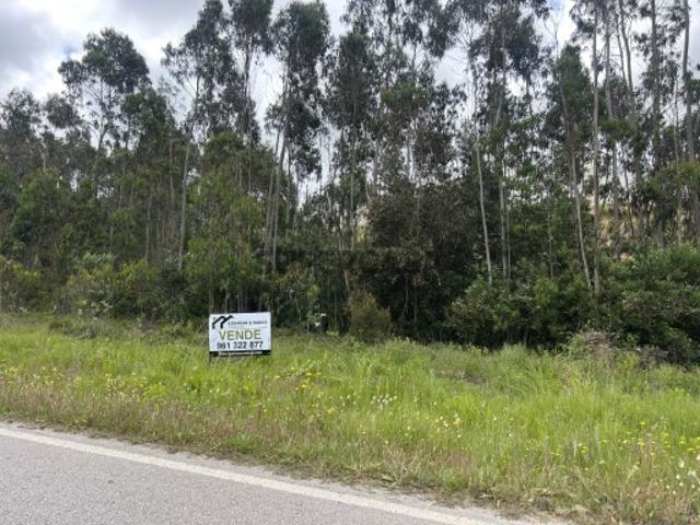 Terreno rustico em Charneca, Silveira