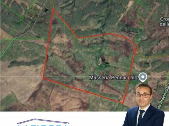 Terreni agricoli di ettari 200