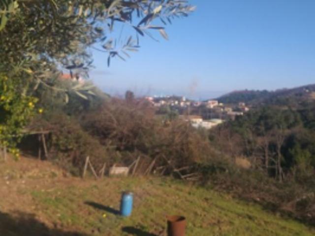 Terreni in vendita