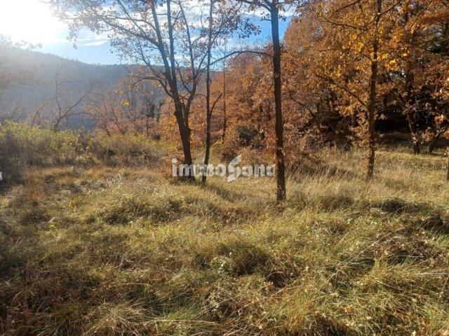 Terreno, Muntanyola