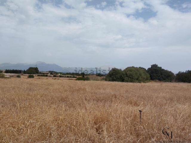 Terreno, Muro