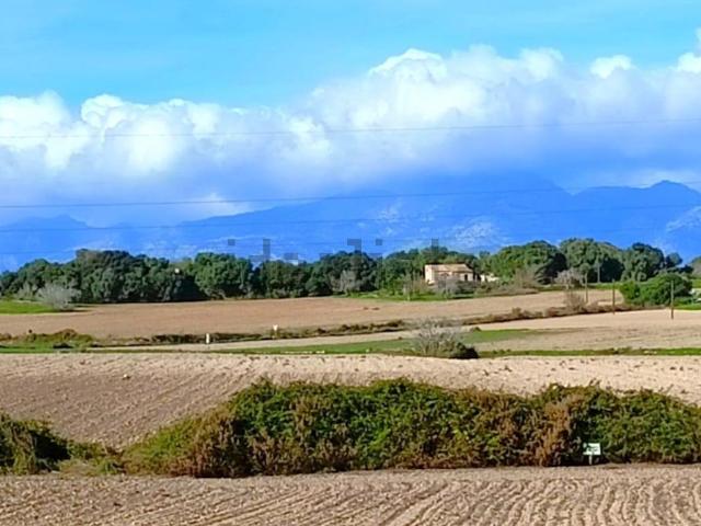 Terreno, Muro