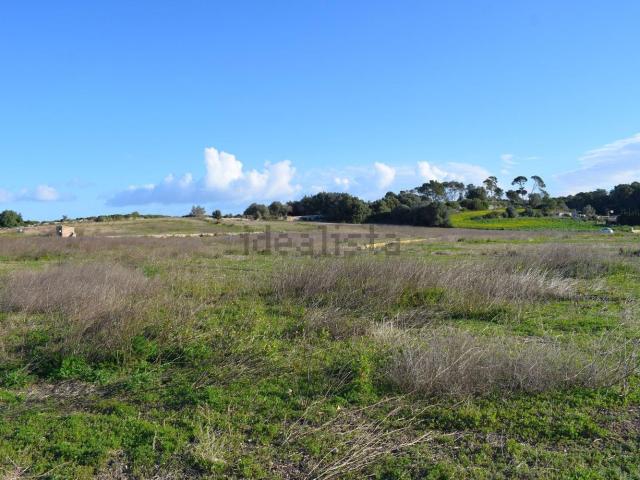 Terreno, Muro