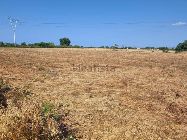 Terreno, Muro