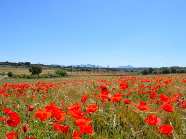 Terreno, Muro