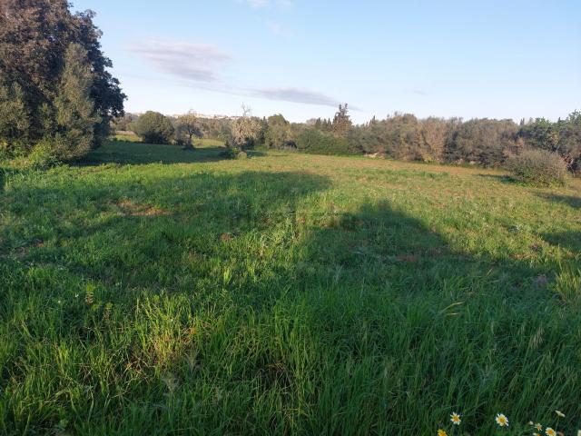 Terreno, Muro