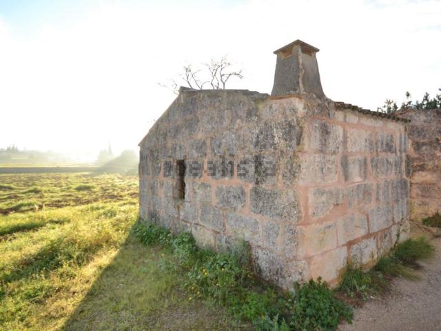 Terreno, Muro
