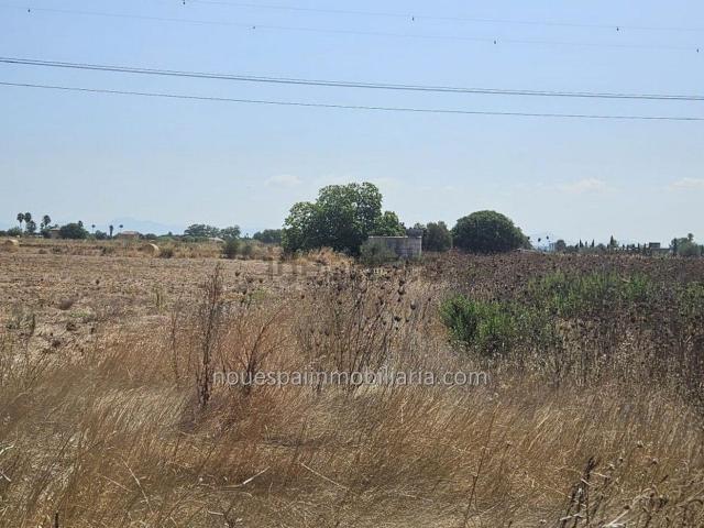 Terreno, Muro