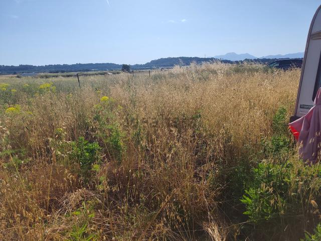 Terreno, Muro