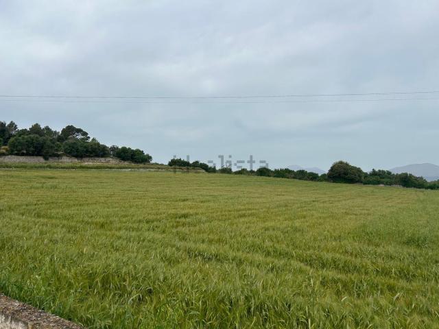 Terreno, Muro