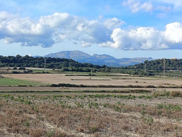 Terreno, Muro del Alcoy