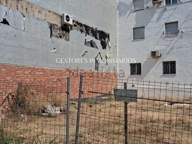 Terreno, Muro del Alcoy
