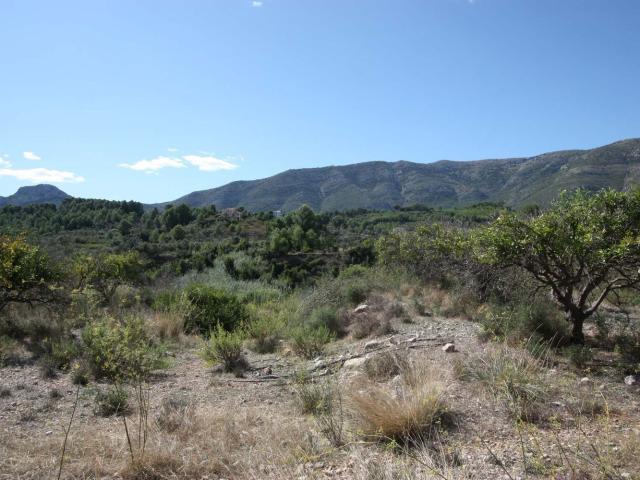 Terreno, Murla
