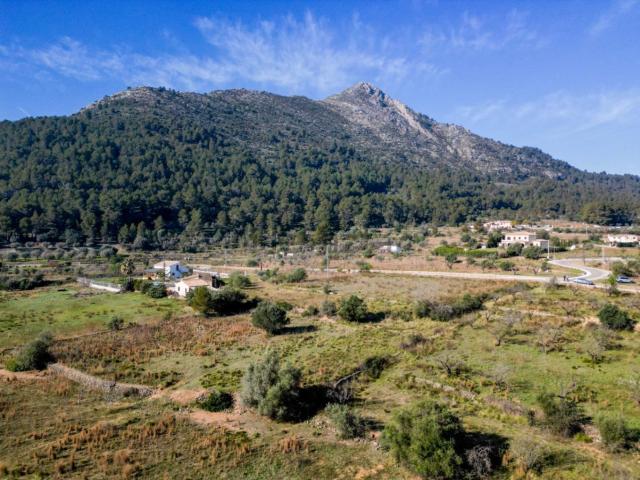 Terreno, Murla