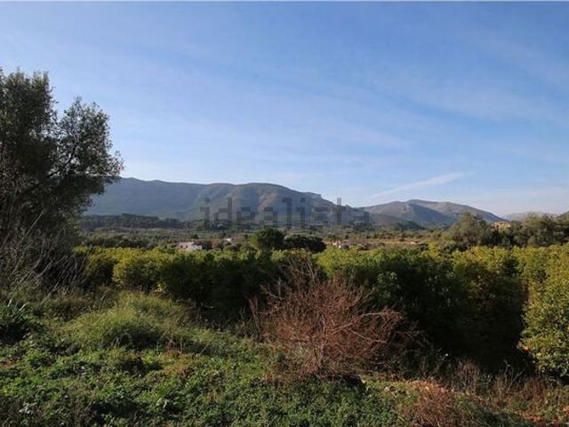 Terreno, Murla