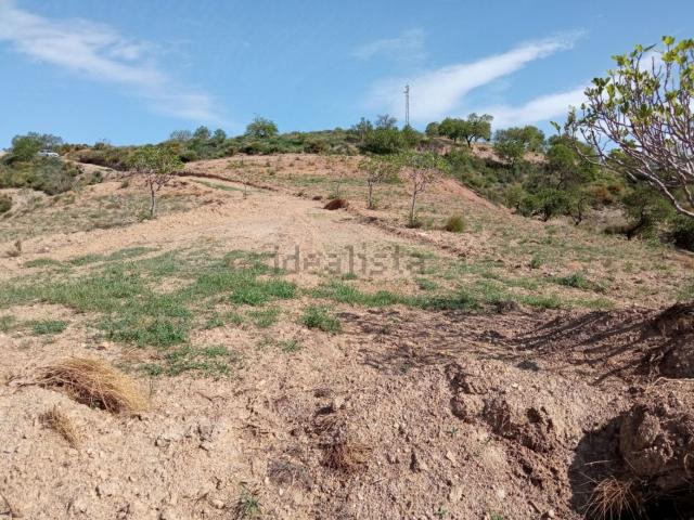 Terreno, Murtas