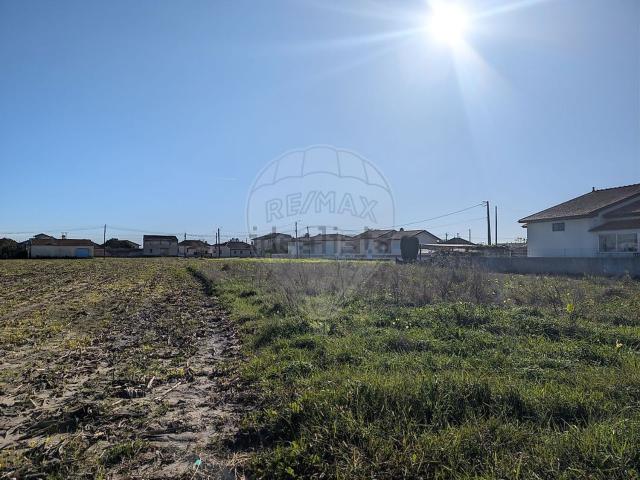 Terreno, Murtosa