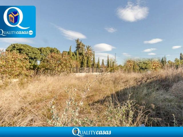 Terreno, Mutxamel