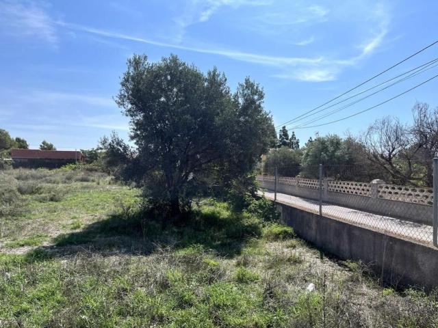 Terreno, Mutxamel
