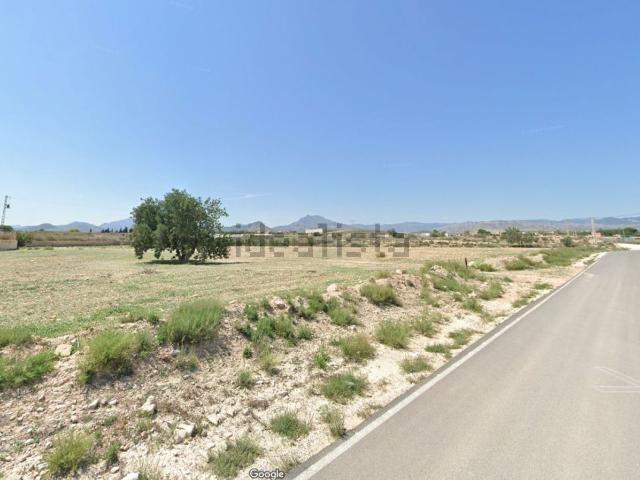 Terreno, Mutxamel