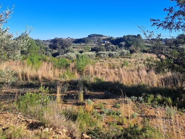 Terreno, Mutxamel