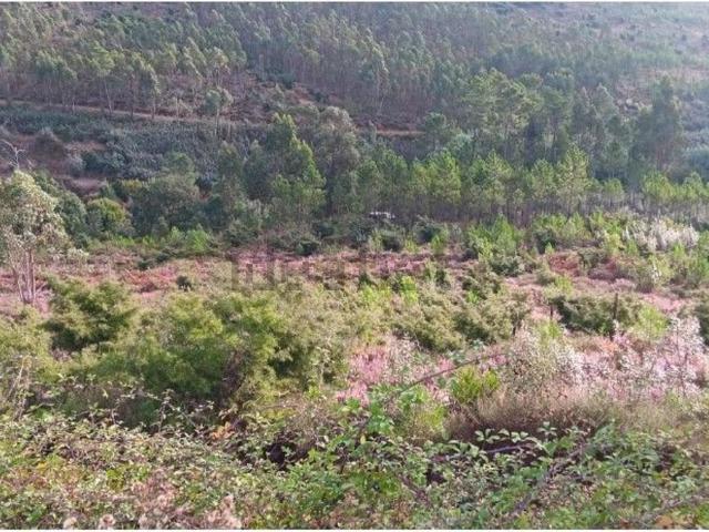 Terreno, Mação