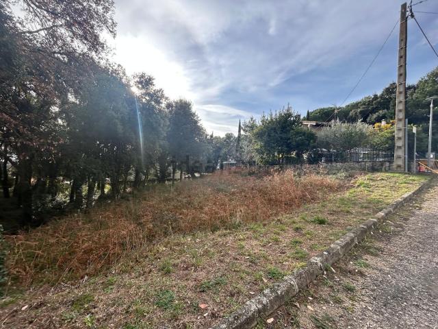 Terreno, Maçanet de Cabrenys