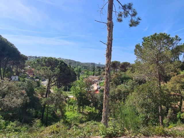 Terreno, Maçanet de la Selva