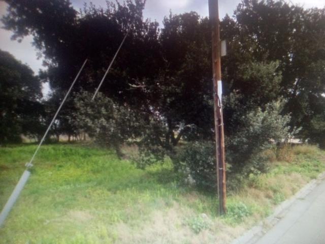 Terreno, Maçanet de la Selva