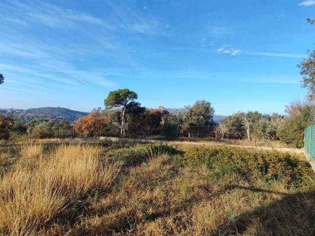 Terreno, Maçanet de la Selva