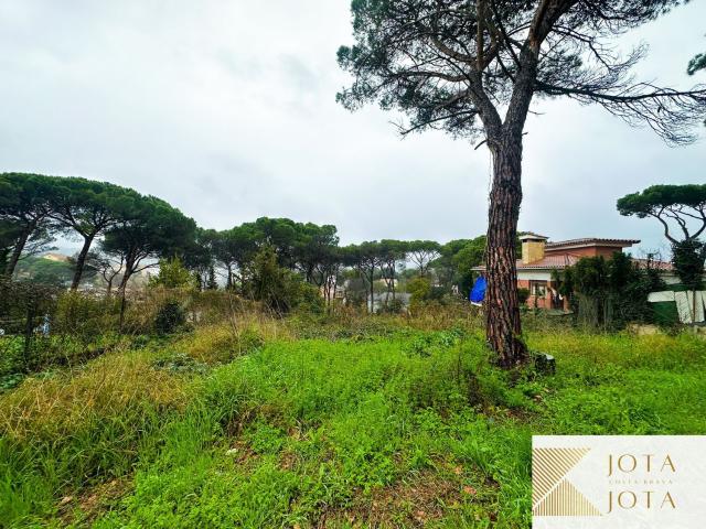 Terreno, Maçanet de la Selva