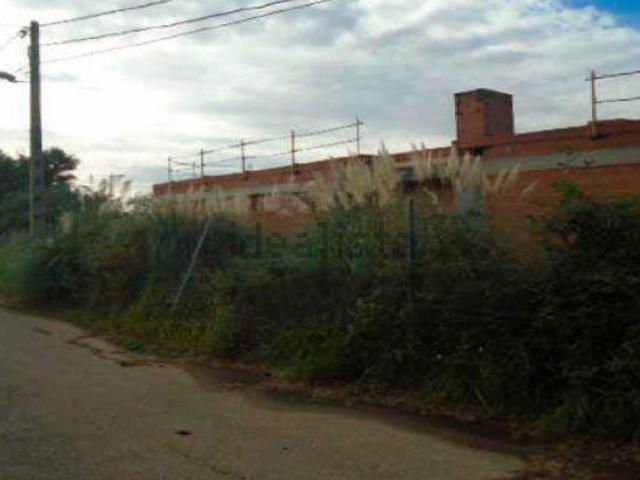 Terreno, Maçanet de la Selva