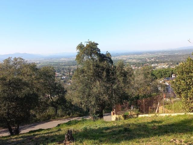 Terreno, Maçanet de la Selva