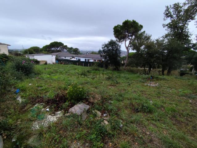 Terreno, Maçanet de la Selva