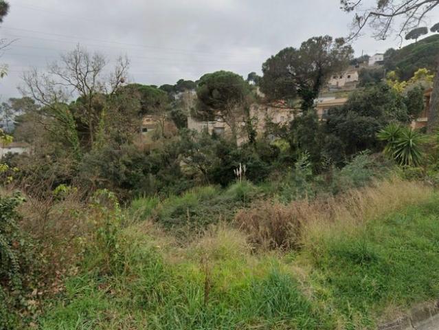 Terreno, Maçanet de la Selva