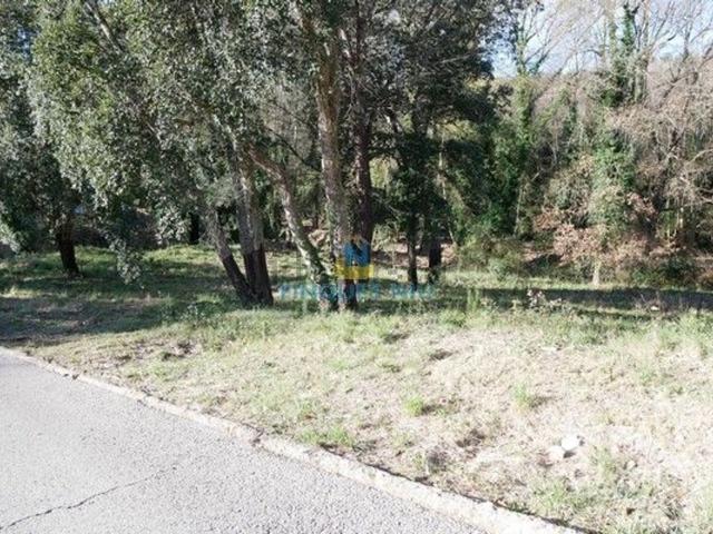 Terreno, Maçanet de la Selva