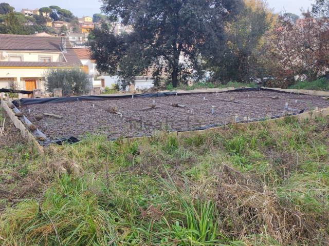 Terreno, Maçanet de la Selva