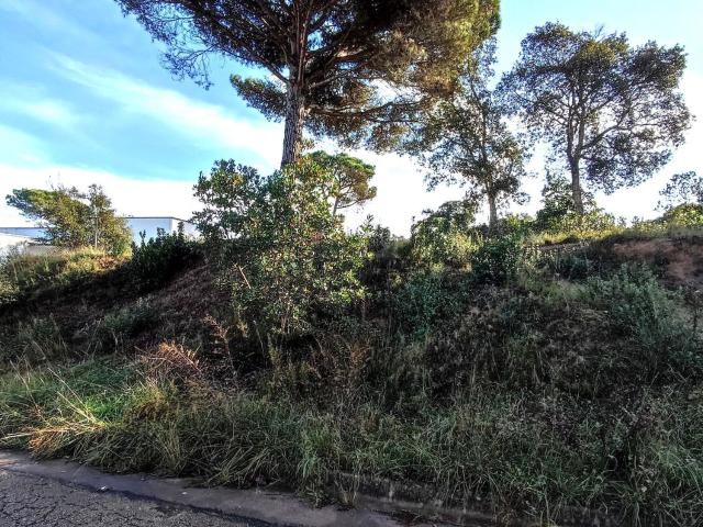 Terreno, Maçanet de la Selva