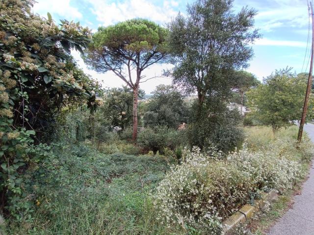 Terreno, Maçanet de la Selva