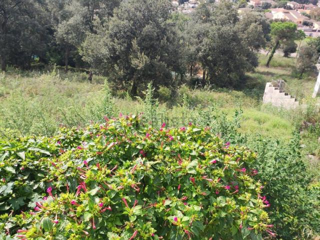 Terreno, Maçanet de la Selva