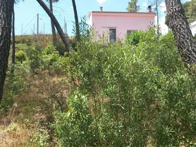 Terreno, Maçanet de la Selva